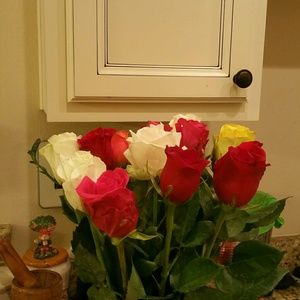 Meet your Posher, Regina